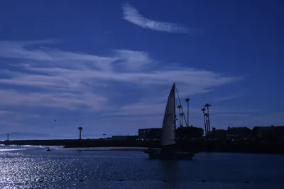 DSC_0833 (Large).JPG